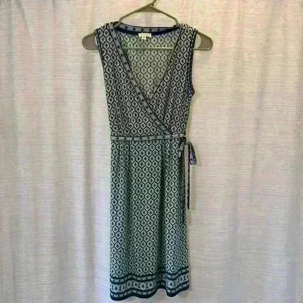 Max studio dress